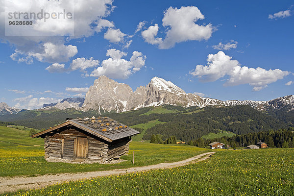 Italien  Südtirol  Seiser Alm  Langkofel und Plattkofel  Alphütte im Vordergrund