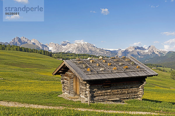 Italien  Südtirol  Seiser Alm  Alphütte im Vordergrund