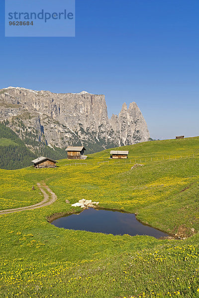 Italien  Südtirol  Seiser Alm mit Holzhütten und Schlern-Gruppe im Hintergrund