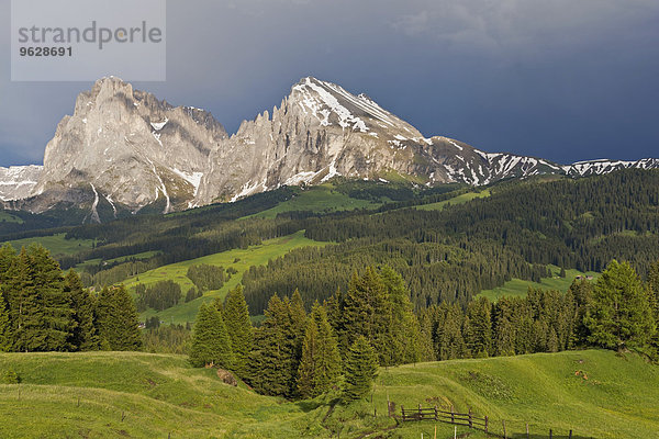 Italien  Südtirol  Seiser Alm  Blick auf Langkofel und Plattkofel  bewölktes Klima