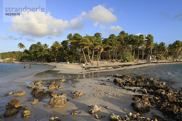 Karibik  Guadeloupe  Grande-Terre  Strand bei Sainte-Anne