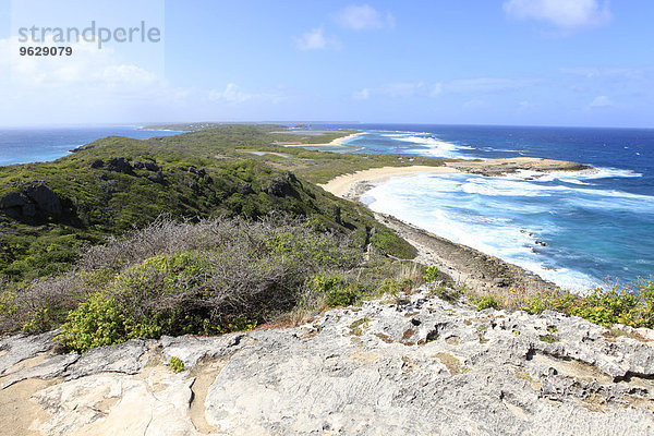 Karibik  Guadeloupe  Grande-Terre  Pointe des Colibre