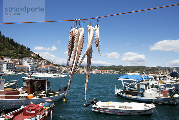 Griechenland  Gythio  Tintenfisch hängend zum Trocknen im Hafen