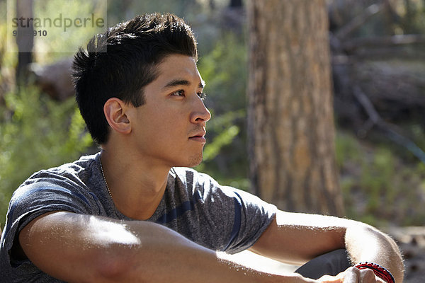 Portrait eines jungen Mannes im Wald  Los Angeles  Kalifornien  USA