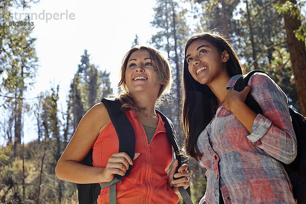 Zwei junge erwachsene Frauen beim Wandern im Wald  Los Angeles  Kalifornien  USA