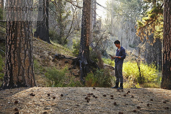 Junger Mann auf der Suche nach einem digitalen Tablett im Wald  Los Angeles  Kalifornien  USA