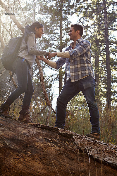 Junger Mann  der der Freundin eine helfende Hand auf umgestürztem Baum im Wald gibt  Los Angeles  Kalifornien  USA