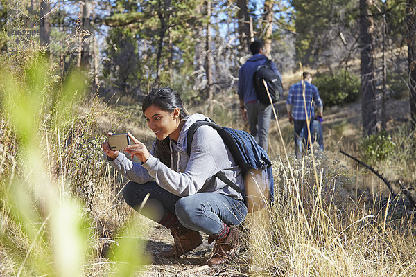 Junge Wanderin beim Fotografieren mit dem Smartphone im Wald  Los Angeles  Kalifornien  USA