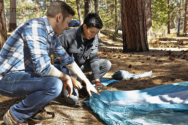 Zwei junge Männer beim Zelten im Wald  Los Angeles  Kalifornien  USA