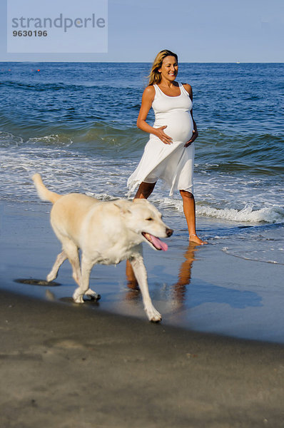 Schwangere reife Frau Spaziergang Hund am Strand