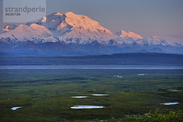 Blick auf den schneebedeckten Mount McKinley bei Sonnenuntergang  Denali National Park  Alaska  USA