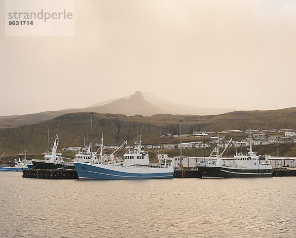 Fischerboote im Hafen  Olafsvik  Snaefellsnes  Island