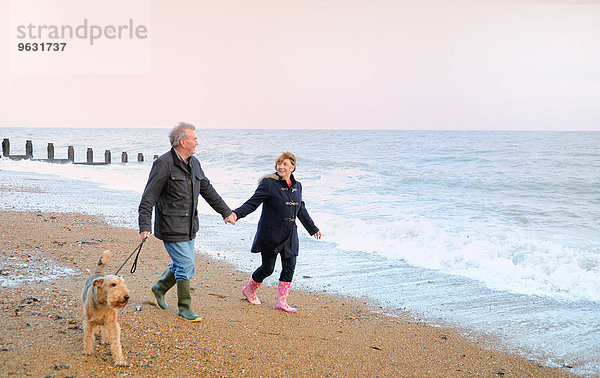 Seniorenpaar Spaziergang Hund am Strand