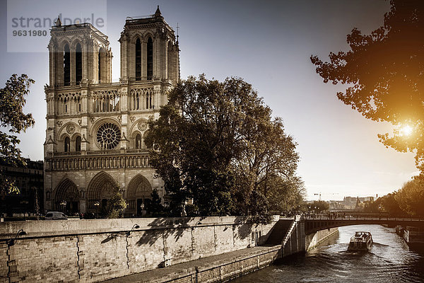 Blick auf Notre Dame  Paris  Frankreich