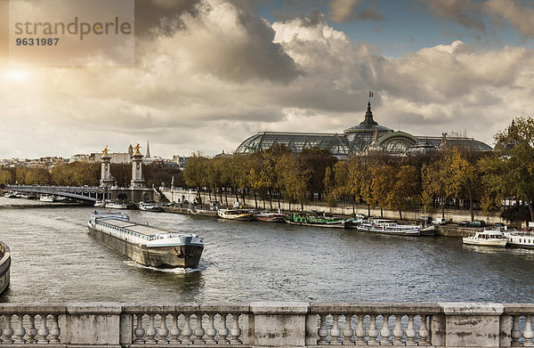 Blick auf die Seine mit dem Grand Palace in der Ferne  Paris  Frankreich