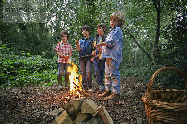 Vier Jungen stoßen auf Marshmallows am Lagerfeuer im Wald an.