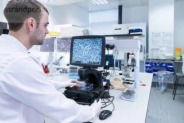 Krebsforschungslabor  Wissenschaftler untersucht Zellen unter dem Mikroskop am Computerbildschirm