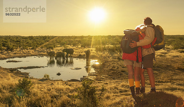 Elefanten am Wasserloch bei Sonnenuntergang  Etosha Nationalpark  Namibia