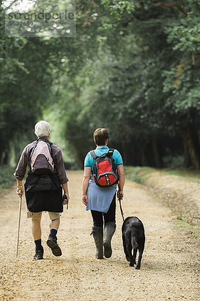 Hund reifer Erwachsene reife Erwachsene wandern