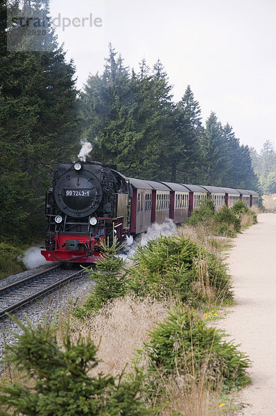 Steam train passing through Harz National Park