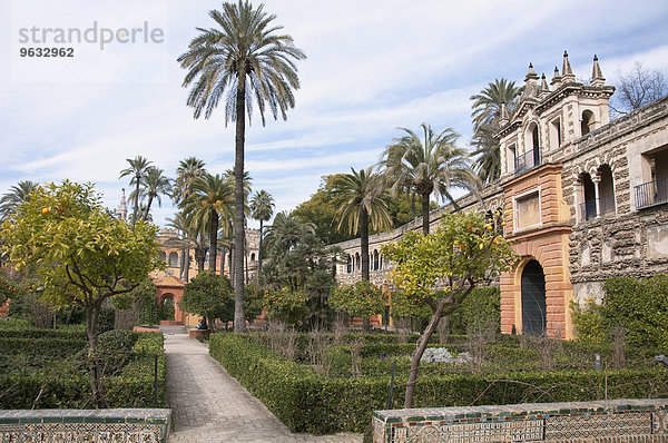 View of Alcazar palace