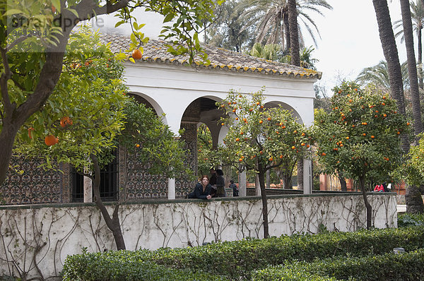 View of Alcazar palace with background people