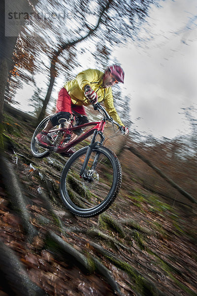 Mountain biker riding downhill in a forest