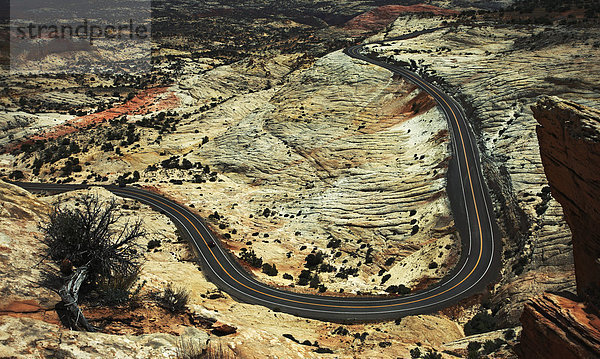 Biegung Biegungen Kurve Kurven gewölbt Bogen gebogen Landschaft über Fernverkehrsstraße Wüste Ansicht Utah