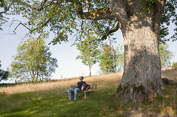 Mature man resting under oak tree in Bavarian Forest