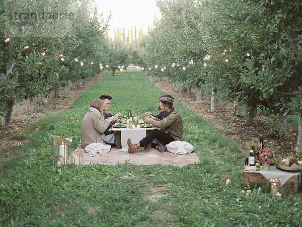 Mensch Menschen Picknick Menschengruppe Menschengruppen Gruppe Gruppen Obstgarten Apfel Gras