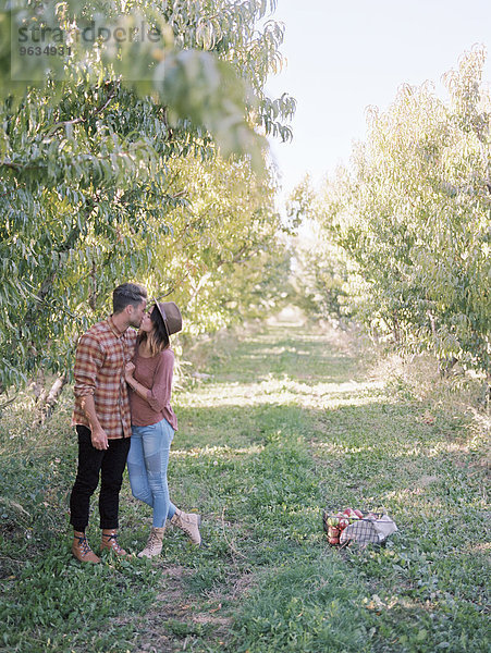 küssen Obstgarten Apfel