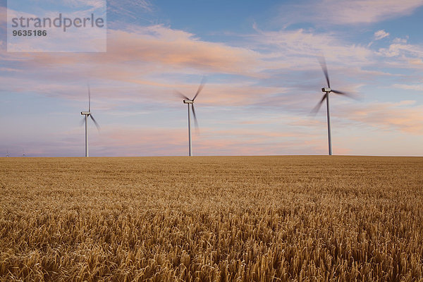 Windturbine Windrad Windräder Energie energiegeladen Sommer Produktion Feld Weizen Abenddämmerung