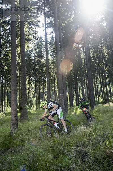 Mountain bikers riding in a forest  Ore Mountains