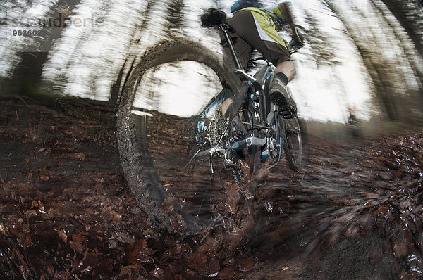 Low section of mountain biker biking in a forest