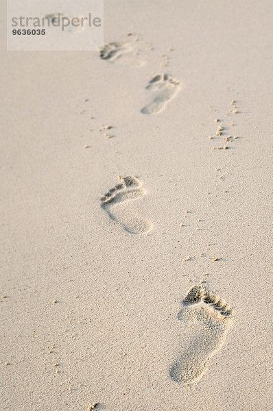 Footprints in sand on the beach