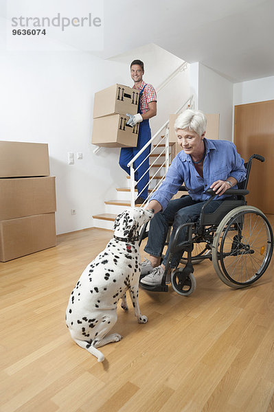 Handicapped old woman stroking dog while movers walking down cardboard boxes