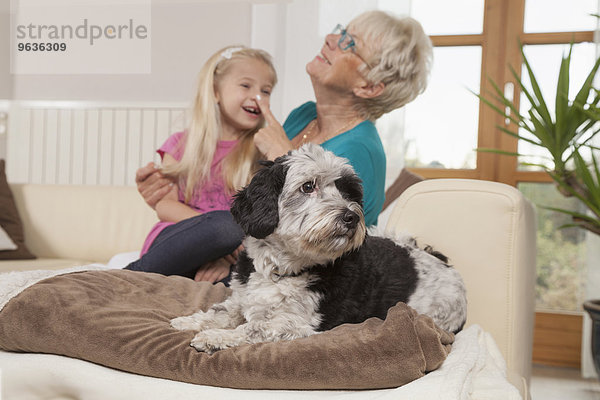 Senior woman with dog and granddaughter laughing in a living room