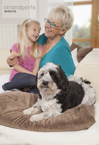 Senior woman with dog and granddaughter laughing in a living room