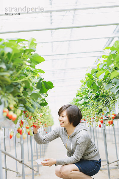 Frau Wohnhaus Erdbeere jung aufheben japanisch