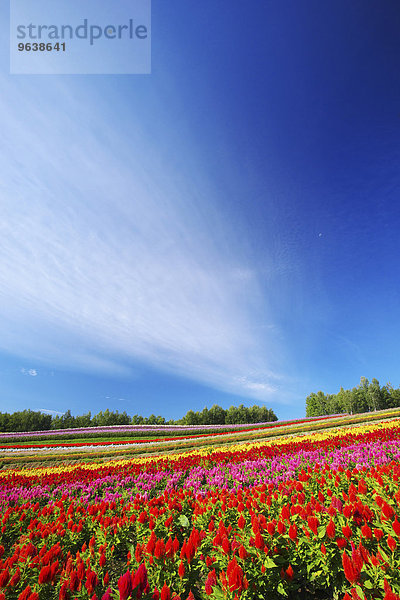 Hokkaido Japan