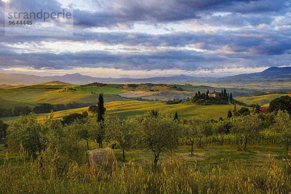 Sonnenaufgang  Landschaft mit Landhaus und Zypressen  bei San Quirico d'Orcia  Val d'Orcia  Provinz Siena  Toskana  Italien  Europa