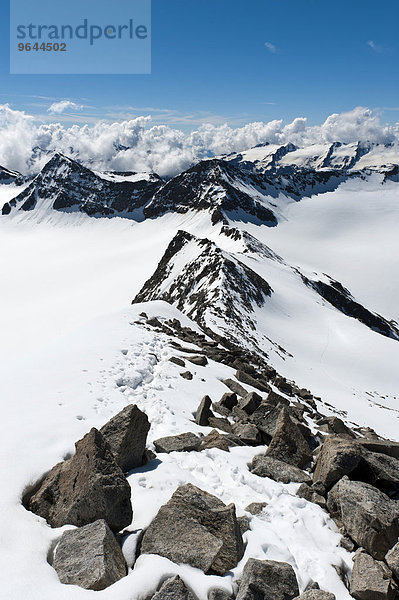 Ausblick auf verschneite Gipfel im alpinen Hochgebirge von der Vertainspitze  Cima Vertana  Laaser Ferner  Ortler-Alpen  Nationalpark Stilfser Joch  bei Sulden  Solda  Trentino-Südtirol  Italien  Europa