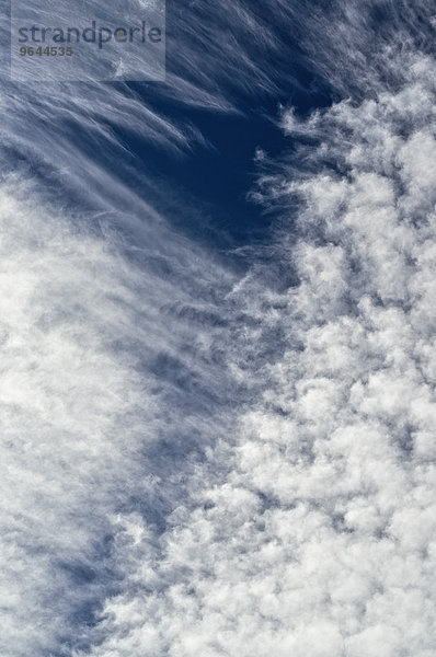 Altocumulus-Wolken  Altocumulus Floccus  oben mit Fallstreifen  vor blauem Himmel  Nordrhein-Westfalen  Deutschland  Europa