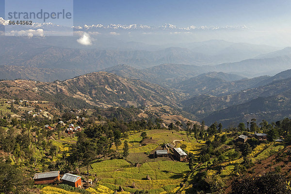 Ausblick auf Terrassenfelder und die Berge des Himalaya  bei Nagarkot  Nepal  Asien