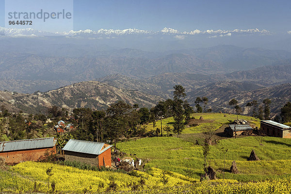 Ausblick auf Terrassenfelder und die Berge des Himalaya  bei Nagarkot  Nepal  Asien