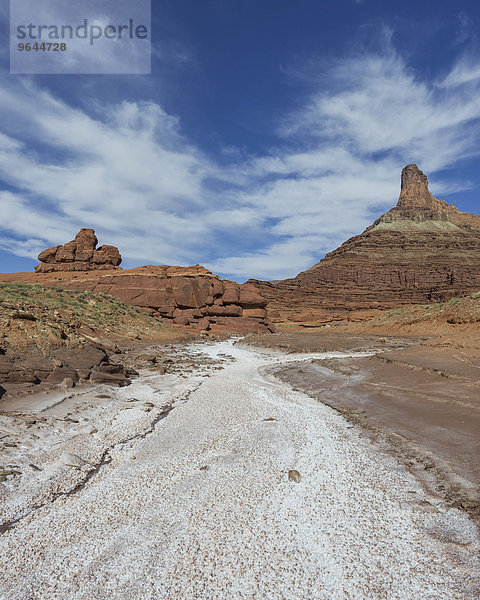 Salzablagerungen in einem ausgetrockneten Flussbett  Potash Road  Moab  Utah  USA  Nordamerika