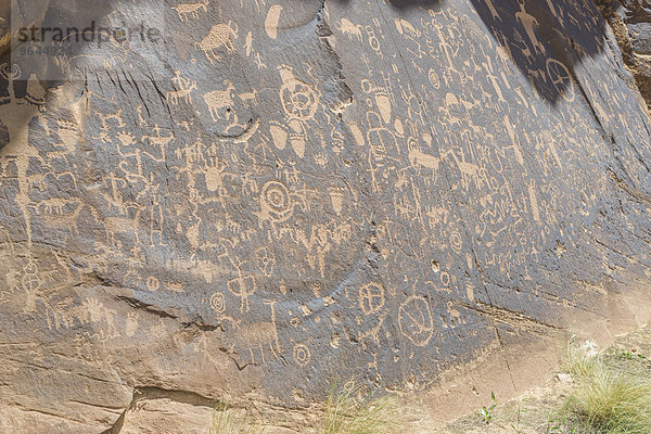 Petroglyphen  Newspaper Rock  Monticello  Utah  USA  Nordamerika