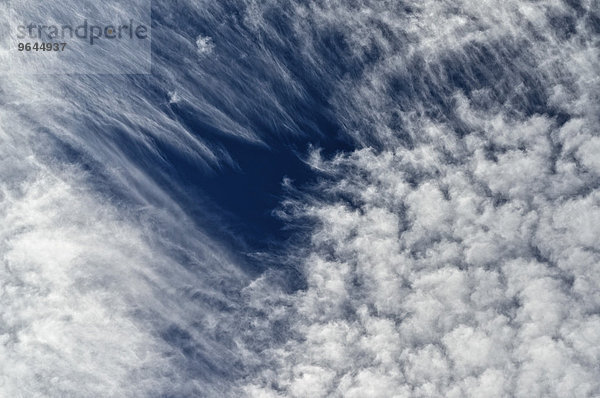 Altocumulus-Wolken  Altocumulus Floccus  oben mit Fallstreifen  vor blauem Himmel  Nordrhein-Westfalen  Deutschland  Europa