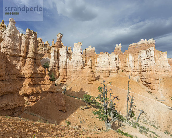 Felsszenerie vom Navajo Loop Trail  Bryce-Canyon-Nationalpark  Bryce  Utah  USA  Nordamerika