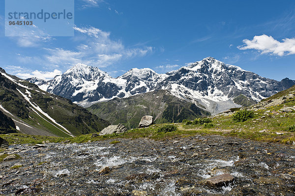 Gipfel der Königspitze  Il Gran Zebru  Monte Zebru und Ortler  Ortles  3905 m  Ortler-Alpen  Rosimtal  Valle di Rosim  Nationalpark Stilfser Joch  bei Sulden  Solda  Trentino-Südtirol  Italien  Europa